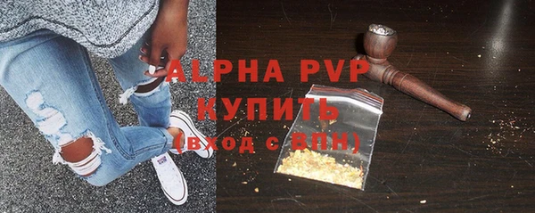стафф Алзамай