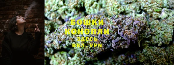 ПСИЛОЦИБИНОВЫЕ ГРИБЫ Алексеевка