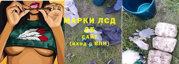 твердый Алексин