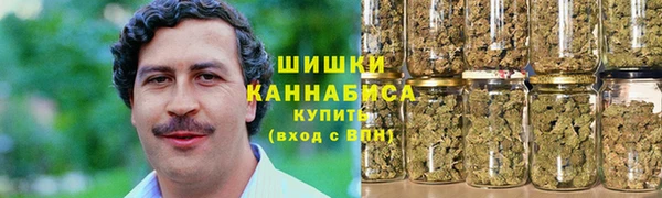 ПСИЛОЦИБИНОВЫЕ ГРИБЫ Алексеевка