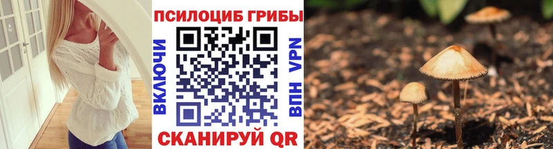 где можно купить Арамиль Галлюциногенные грибы MAGIC MUSHROOMS